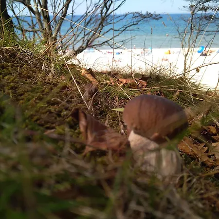 Apartmán Magiczna Debina *